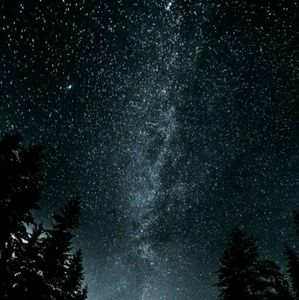 Meet your Posher, Jody